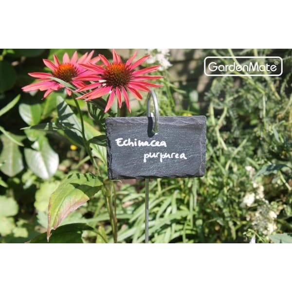 Herz-Schieferschild „Relaxation Zone“, 10 X 10 Cm – Dekoratives Wandschild Aus Schiefer Für Garten, Balkon & Terrasse